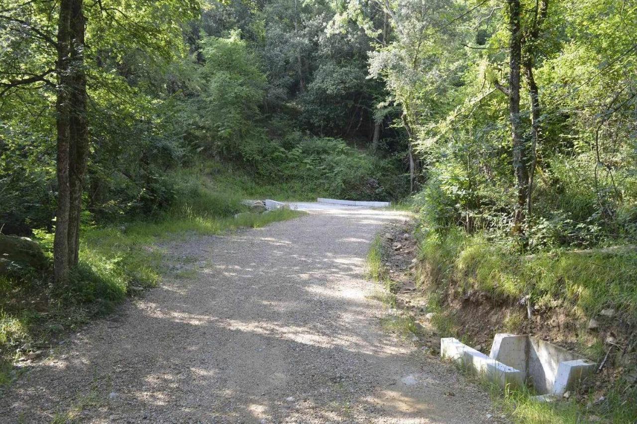 Rectoria De Castellar Βίλα La Vall de Bianya Εξωτερικό φωτογραφία