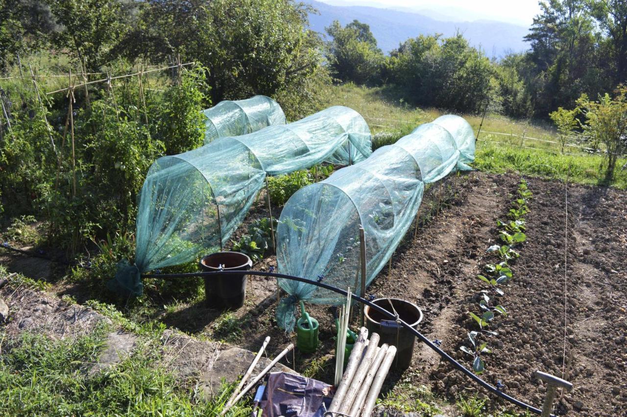 Rectoria De Castellar Βίλα La Vall de Bianya Εξωτερικό φωτογραφία
