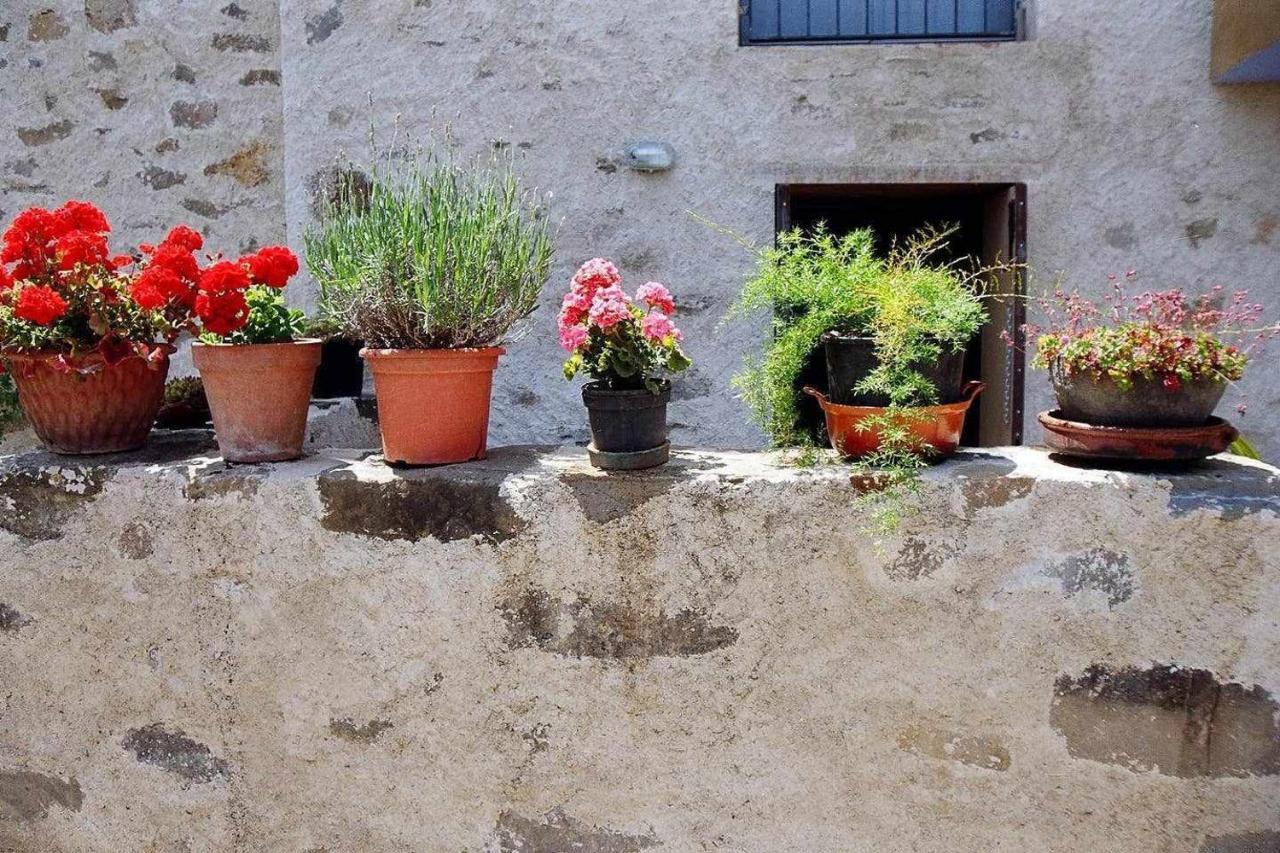 Rectoria De Castellar Βίλα La Vall de Bianya Εξωτερικό φωτογραφία