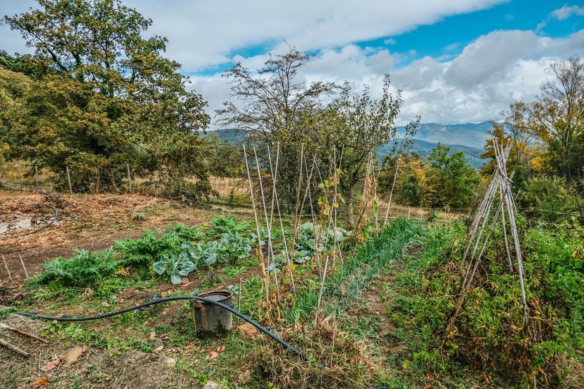 Rectoria De Castellar Βίλα La Vall de Bianya Εξωτερικό φωτογραφία